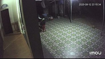 Video verificación caliente con chica mojada y lista